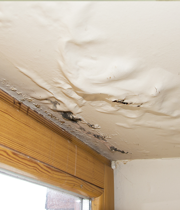 Water damage on ceiling. Paint bubbling up, possible mold inside ceiling.