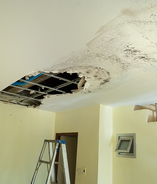 Hole in ceiling from water damage and possible mold.