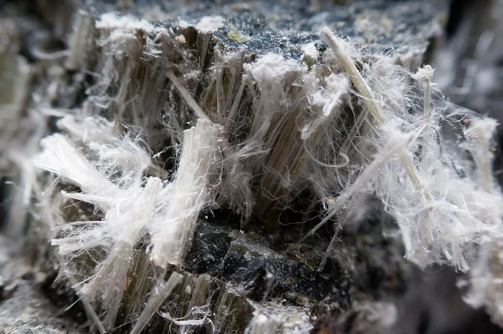 Photo of microscopic asbestos fibers. Asbestos testing is one of our inspection services.
